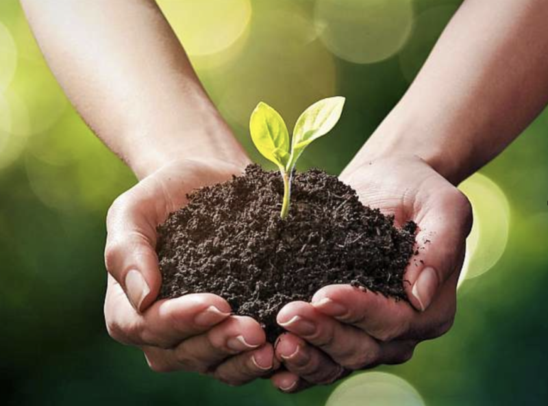 Profilová fotografie